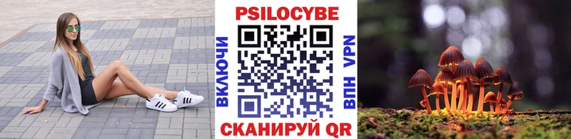 где купить наркоту  ОМГ ОМГ зеркало  Псилоцибиновые грибы Magic Shrooms  Ивантеевка 